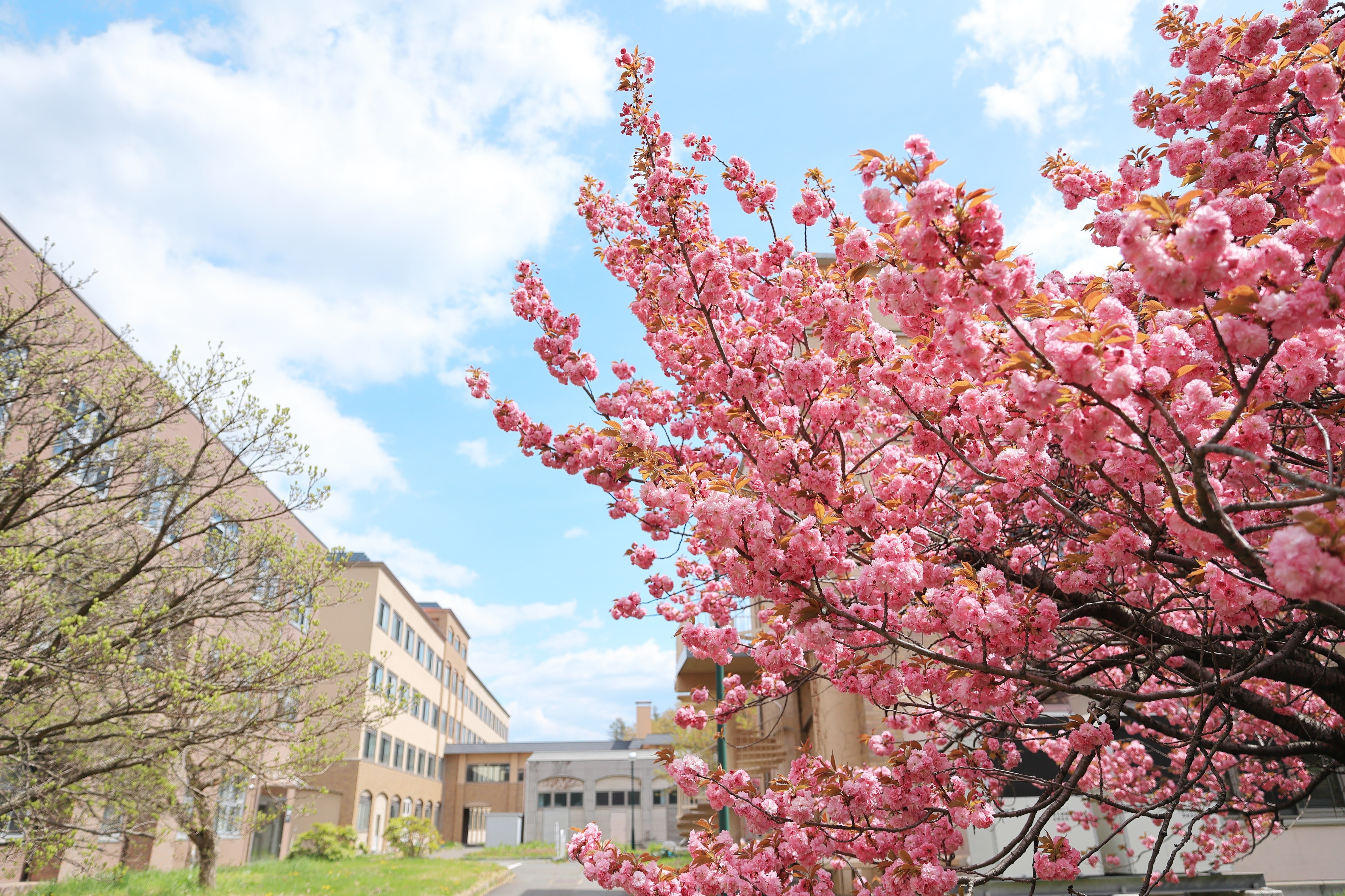 使途は学長にお任せ！プロジェクト