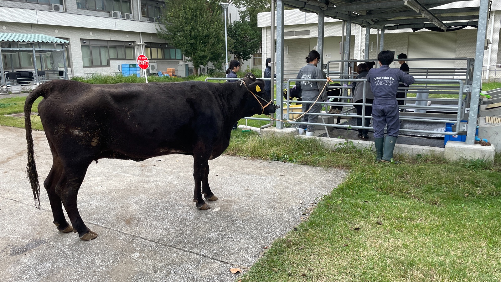 産業動物獣医師リーダー育成プロジェクト