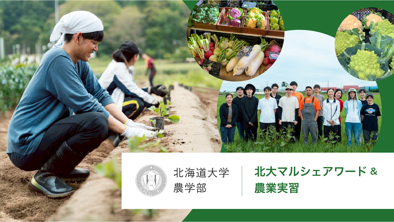 【農学部】２０年後の農・食・地域の当たり前にむけて、いま取り組む学生を応援！
