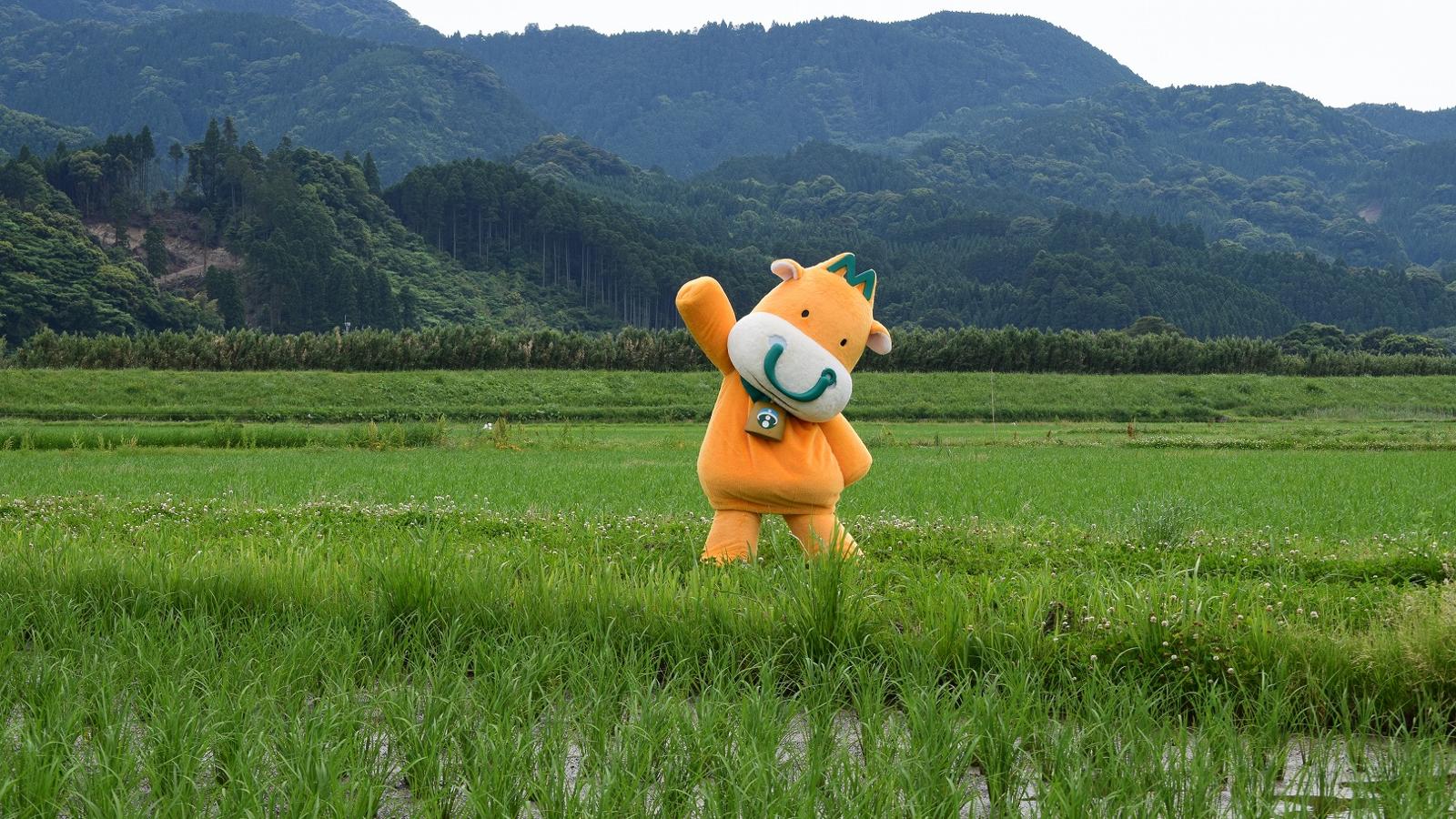 みやざき地域課題解決支援プロジェクト