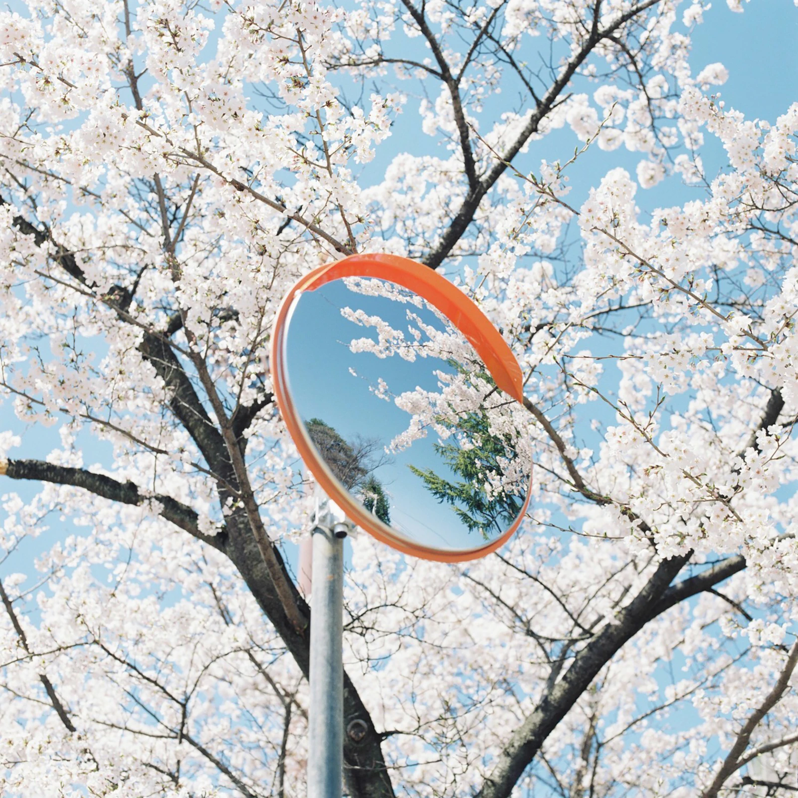 2024/04