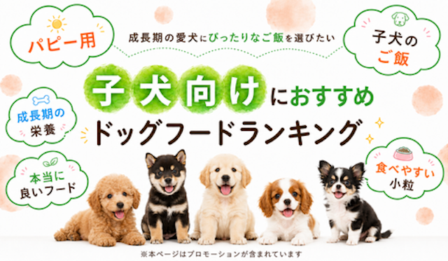 子犬向けのドッグフードランキングのMV