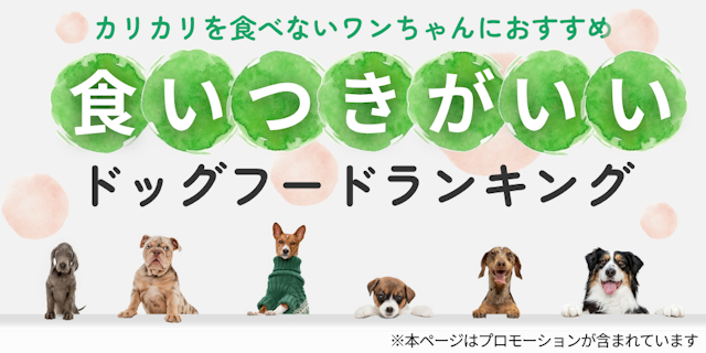 食いつきが良いドッグフードランキングのMV