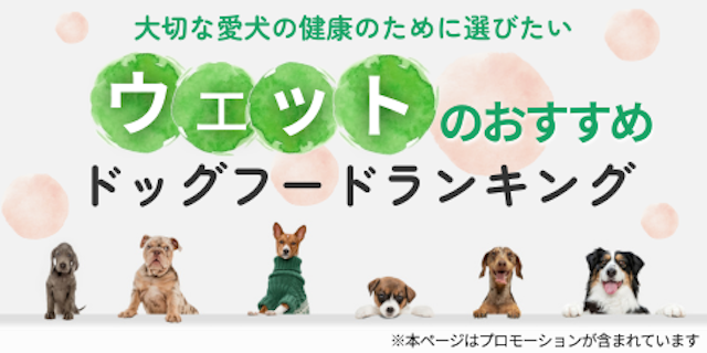 ウェットタイプのドッグフードおすすめランキングのMV