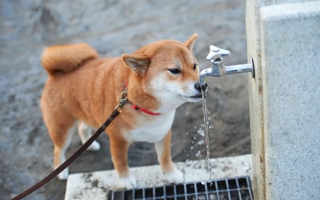コラムイメージ画像