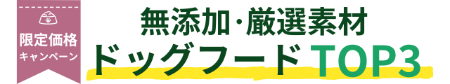 見出し
