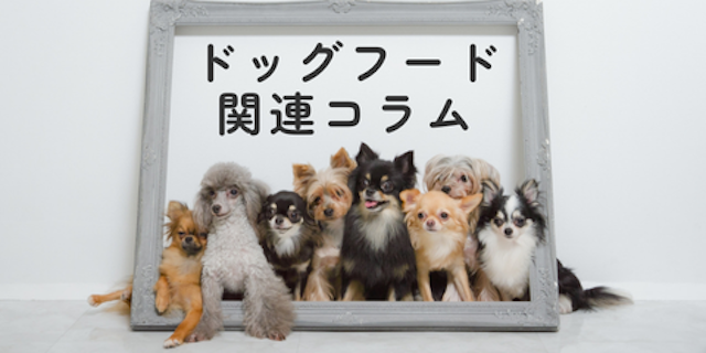 コラムMV