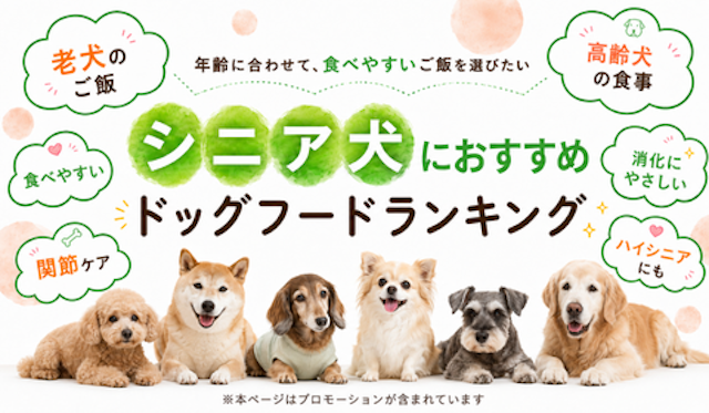 シニア犬におすすめドッグフードランキングのMV