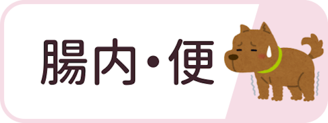 腸内ケア