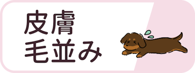 毛並み・皮膚