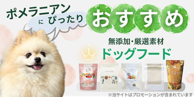 ポメラニアンにおすすめドッグフードランキングのMV