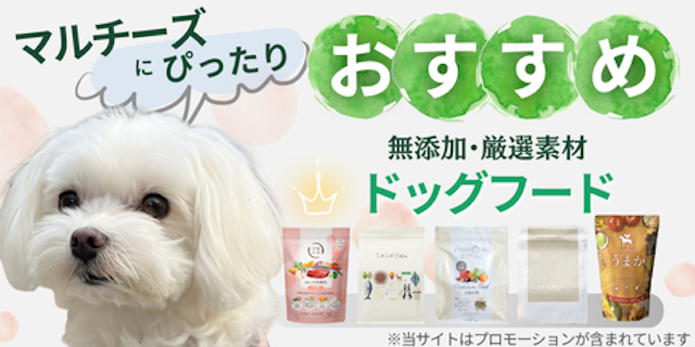 マルチーズにおすすめドッグフードのMV