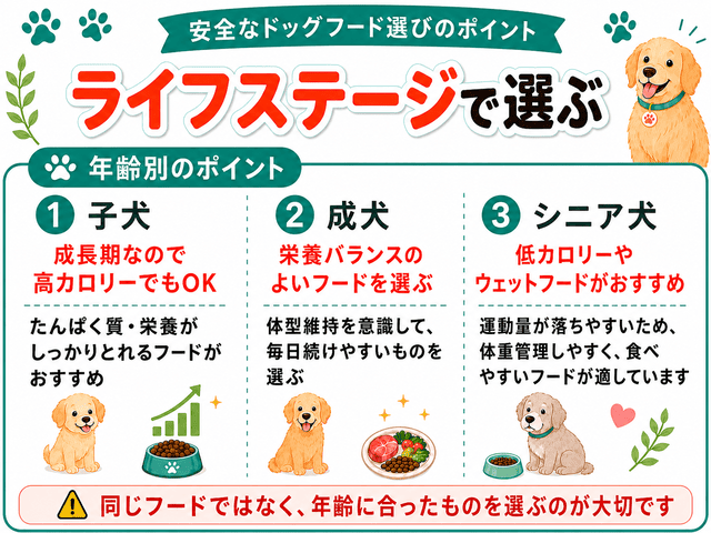 ドッグフードの選び方②（子犬、成犬、シニア犬）