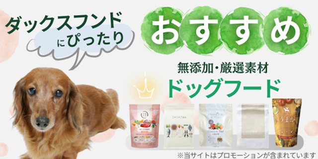 ダックスフンドにおすすめドッグフードMV