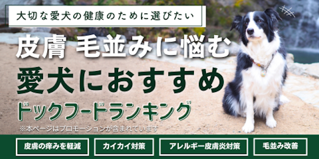 皮膚・毛並みケアができるドッグフードランキングMV
