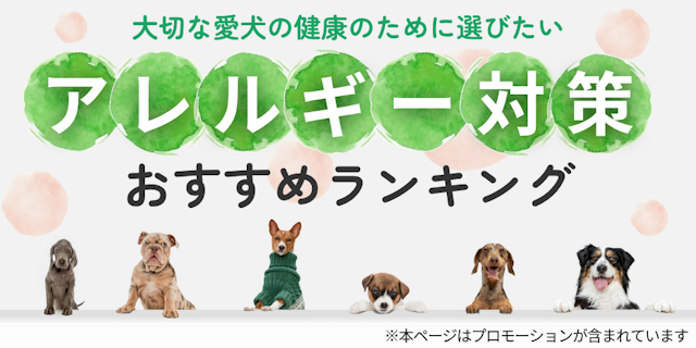 アレルギー対策ができるドッグフードランキングのMV
