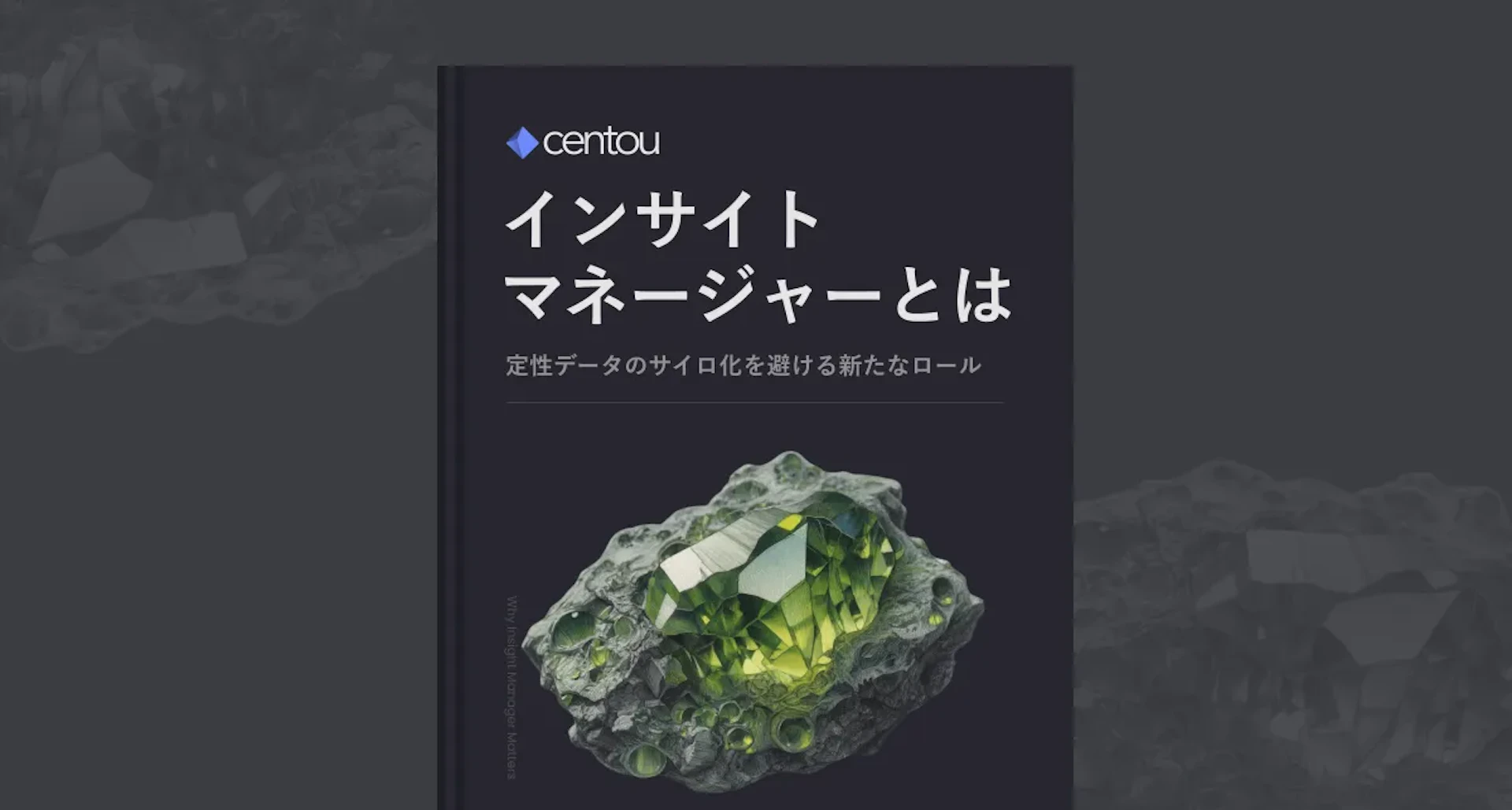 定性データで新たな価値を生む「インサイトマネージャー」という役割について