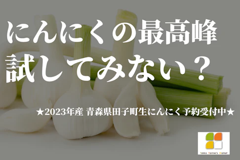 「生」ニンニクは、一年にこの時期だけ！2023年青森県田子町産生ニンニク！＊受付終了