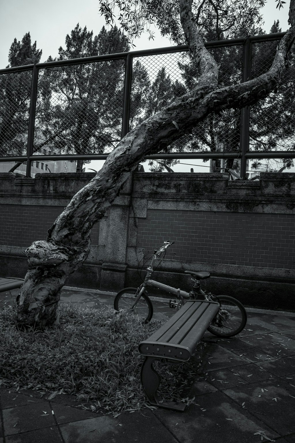 2025-02-13T16:00:00.000Z