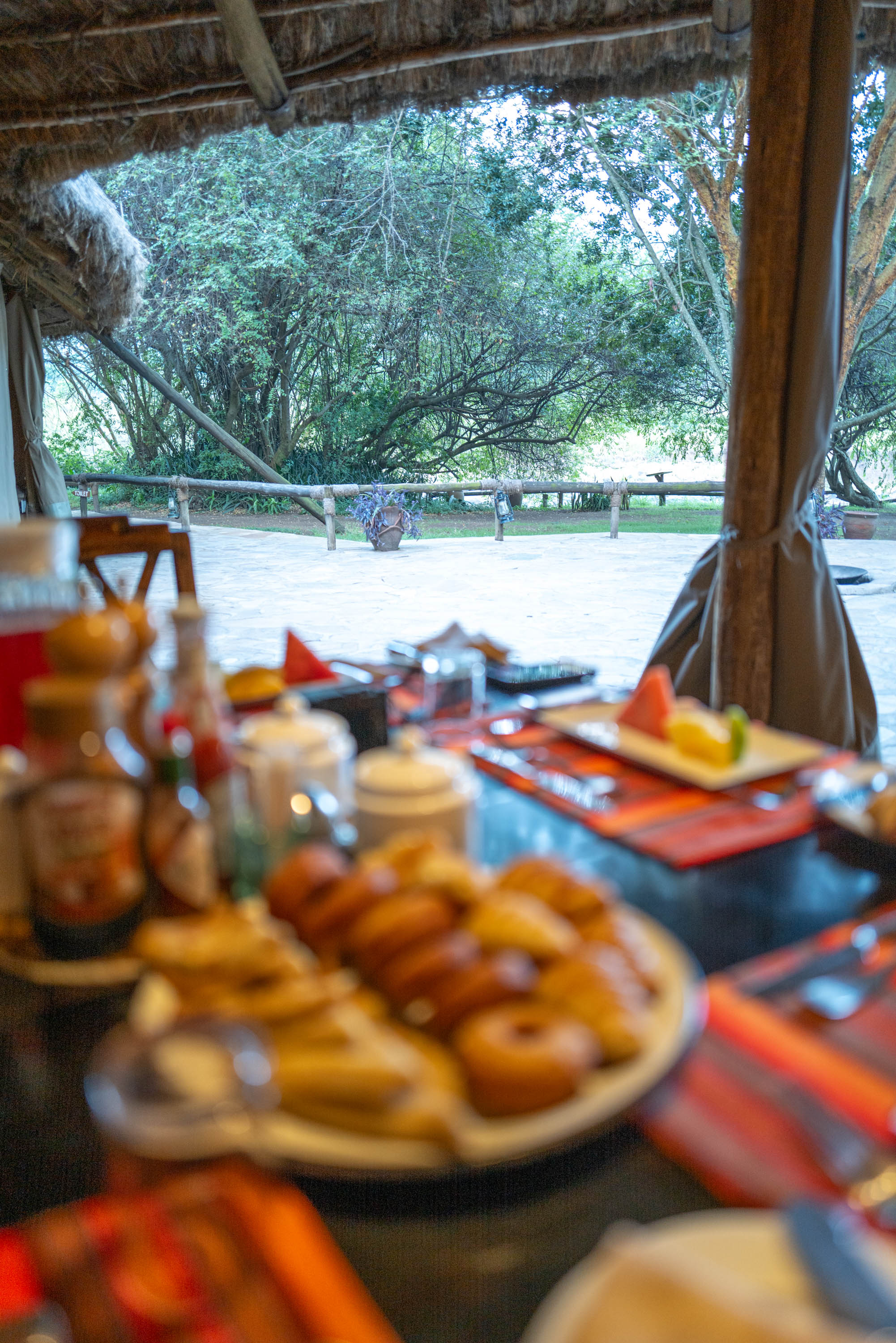 後編】ケニアの大自然に包まれる人生最高の冒険：感動のサファリと