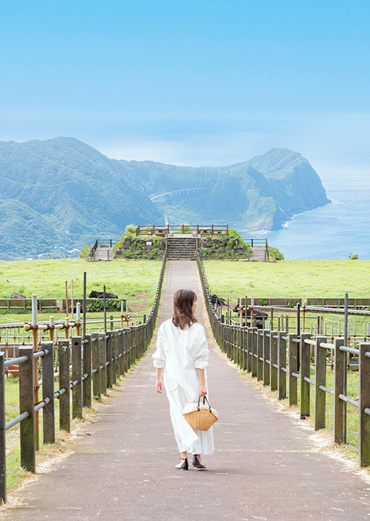 八丈島の魅力とは？海と山と星空に癒される、八丈島ならではの特別な