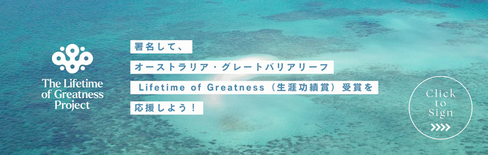 バナー②