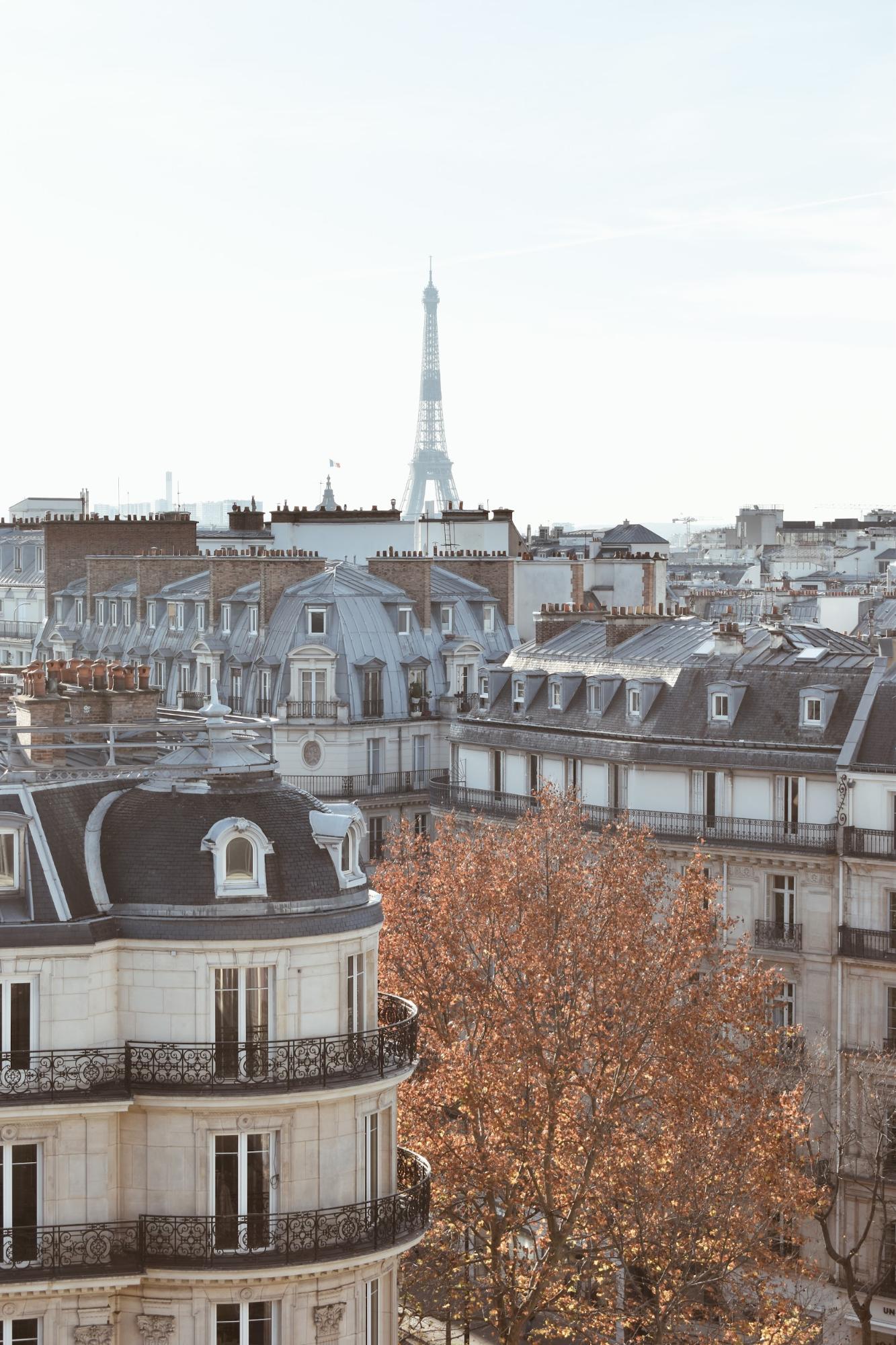 Bonjour Paris パリ20区街歩き Amazon.co.jp: Bonjour Paris 〜パリ20区街歩き〜 : 谷口 侃: 本