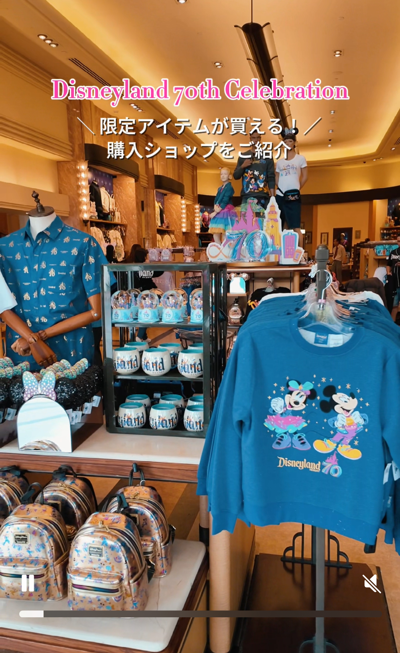 Disney - ディズニー　ディズニーランド　海外　アメリカ　タペストリー　新品　未使用　限定 ディズニー ディズニーランド 海外 アメリカ タペストリー 新品