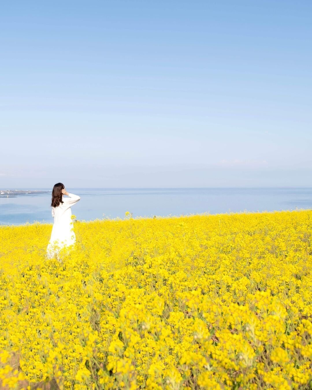 FM4yHLqKLafBtqpA___optimized_1