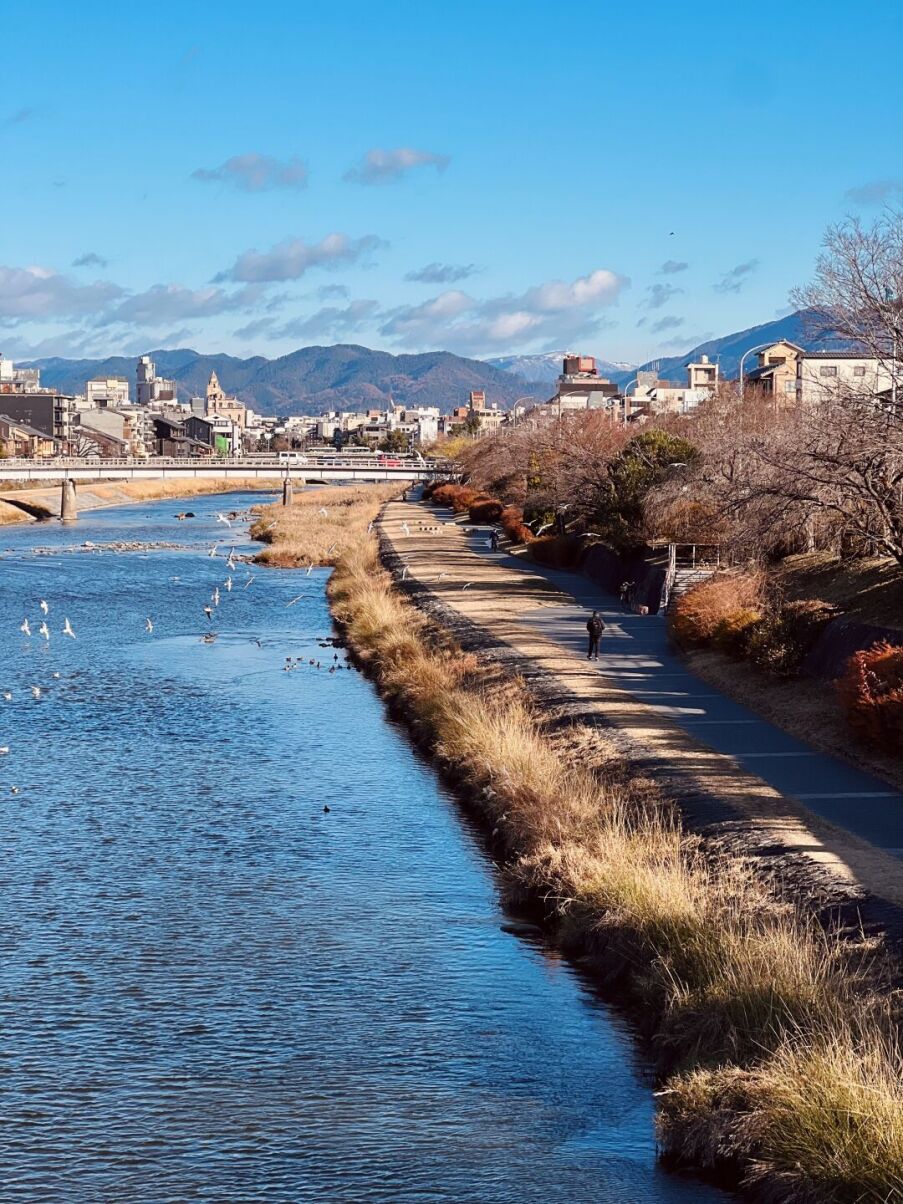 五感を満たす1泊2日ー大人の京都ひとり旅｜tabimuse