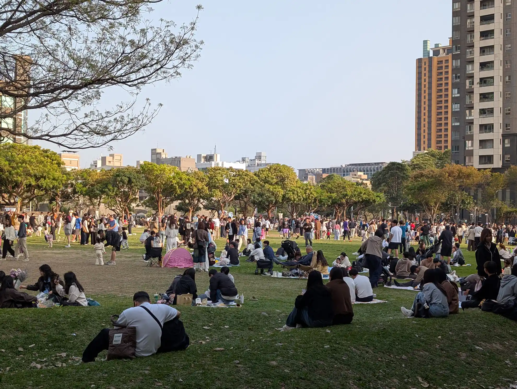 誰も薦めない台中が、1番心地よかったの写真2