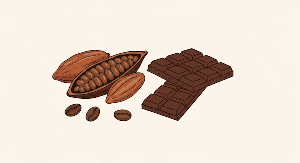 心ときめく一粒の裏側：スペシャルティコーヒー専門店が語る、カカオとサステナビリティ、そして究極のナッツショコラ