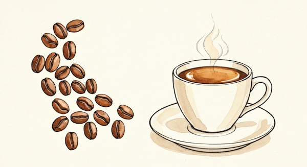 鮮度と香りのシンフォニー：Lav-Fabec Roastersが拓く、コーヒーの新たな地平