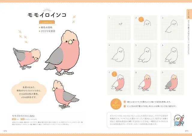 メインイラストの他、別のアングルや動きのあるイラストも！（PART4 おうちで暮らす大きなとり／モモイロインコ）