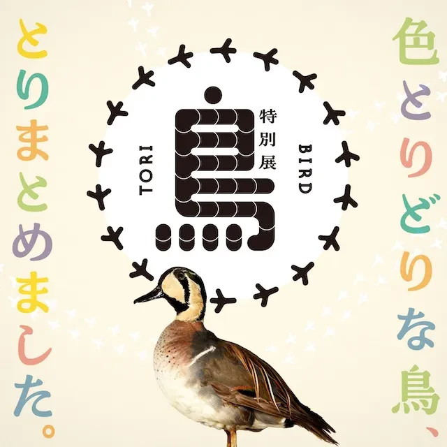 特別展「鳥 ～ゲノム解析で解き明かす新しい鳥類の系統～」メインビジュアル