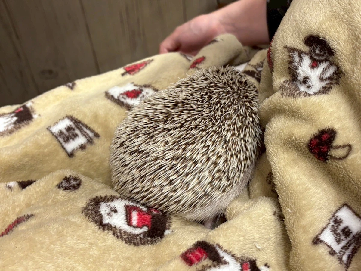 抱っこしてる様子