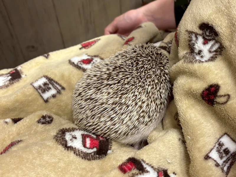 抱っこしてる様子