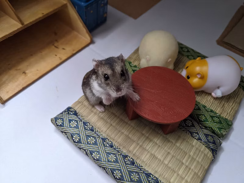 あんずちゃん