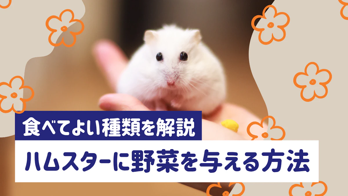ハムスターに野菜を与える方法｜食べてよい種類・量・注意点を解説
