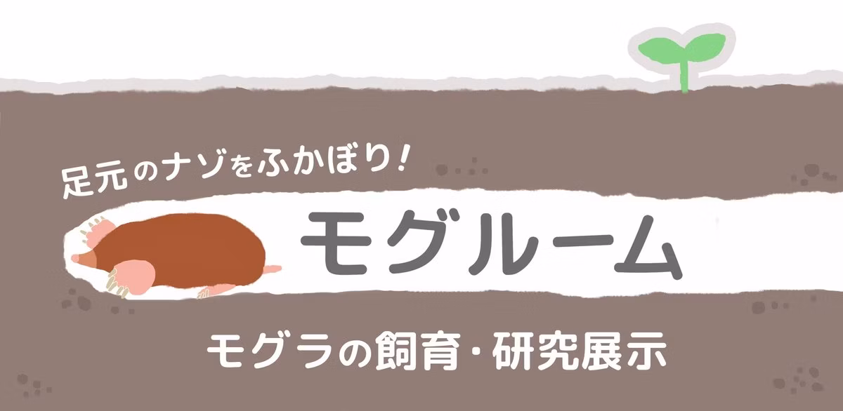 のんほいパークが西日本唯一のモグラ展示施設「モグルーム」を9月3日公開