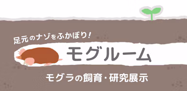 のんほいパークが西日本唯一のモグラ展示施設「モグルーム」を9月3日公開のサムネイル画像