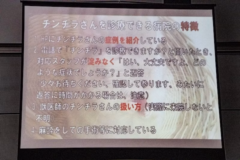 チンチラさんを診療できる病院の見つけ方
