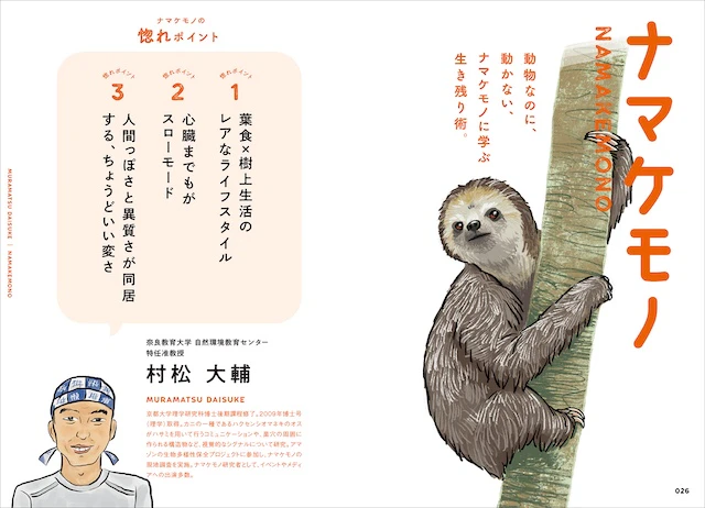 ナマケモノ
