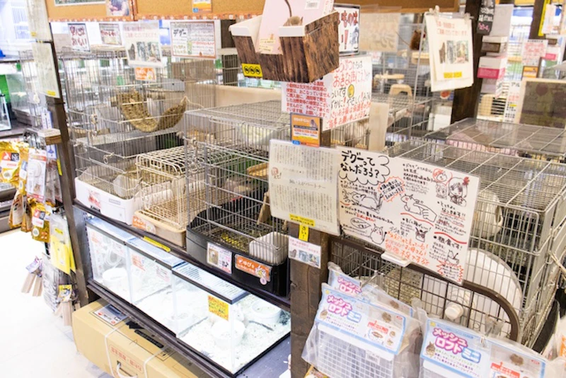 フィールドガーデンの店内