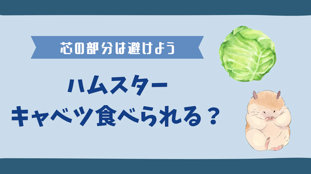 ハムスターはキャベツを食べる！ビタミンCのメリットや適切な量・頻度を解説