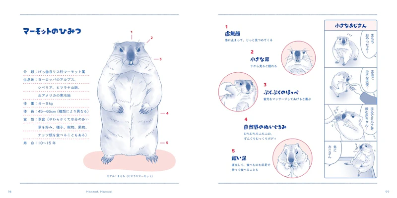 マーモットのひみつ