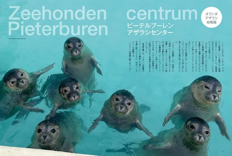 『アザラシまるごとBOOK』より
