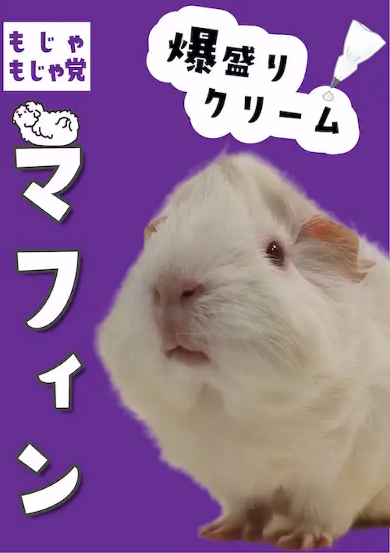 モルモットのマフィン