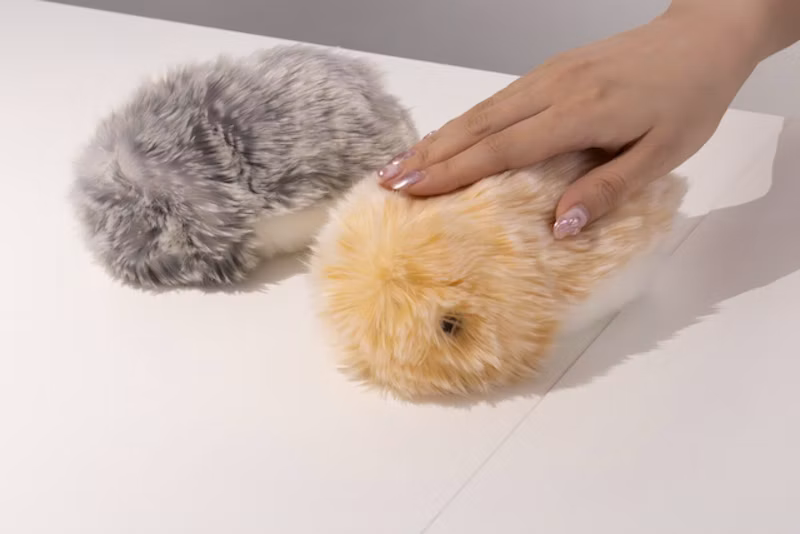 撫でられるモフリン