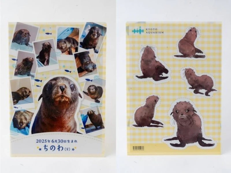 オリジナルクリアファイル（左：表面／右：裏面）